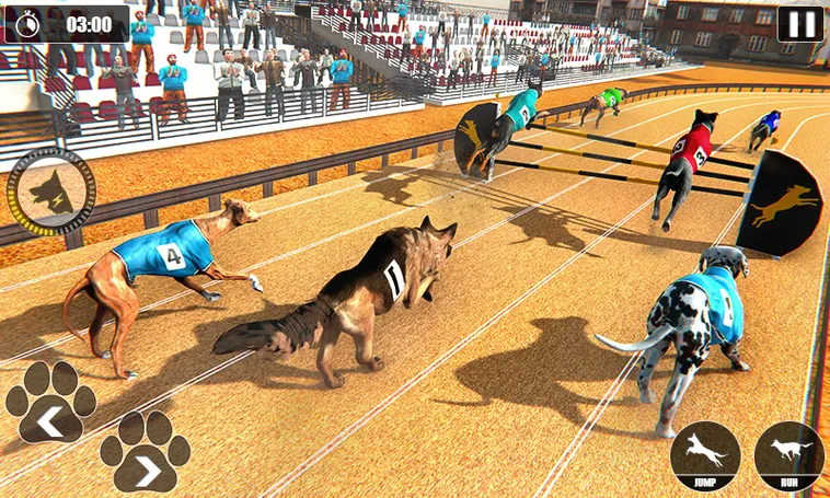 Cách Chơi Game Nhanh Đua Chó Tại HCM66 Để Thắng Lớn