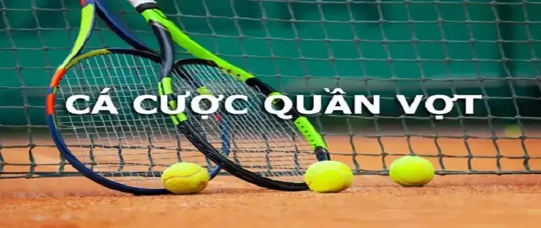 Tìm Hiểu Cá Cược Quần Vợt HCM66 Trải Nghiệm Kịch Tính Cùng Kèo Thơm
